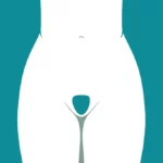 Maillot Échancré