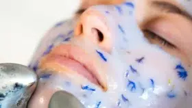 Soin visage masque Algae Jelly : Purifiant, Inflammations et/ou Boutons