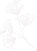 Feuille Ginkgo Opacite