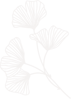 Feuille Ginkgo Opacite - Politique de cookies (UE) -